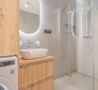 Bathroom in a 2-room apartment with a sink, shower, and washing machine.