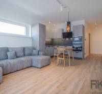 Living room in a two-room apartment with a gray sofa and a kitchen with wooden furniture.