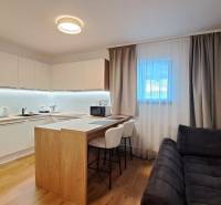 A kitchen in a 2-room apartment with a bar counter and a floor with a wooden decor.