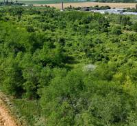 Meadow and forest land in Ivanka pri Nitre, surrounded by greenery and agricultural land.