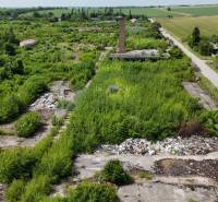 Overgrown commercial plots in Ivanka pri Nitre with extensive vegetation and a road.