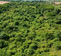 Greenery covers extensive commercial lands in Ivanka pri Nitre, surrounded by fields and trees.