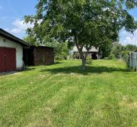 A garden with a wooden tree and a building in the background in Zemplínska Široká. Plots - residential.
