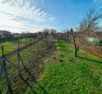 Plots - living in Vlčkovce surrounded by trees and grassland offer a peaceful environment.