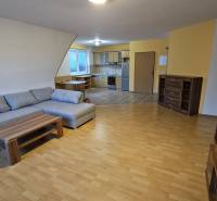 Interior with a sofa, kitchen, and wood-patterned flooring in a building.