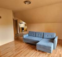 Living room with a blue sofa and wood-patterned flooring, leading into the kitchen.