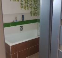 A bathroom in a family house with green leaf tiles and a bathtub.
