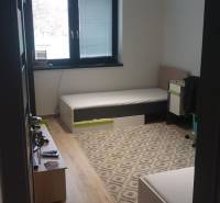 A room in a family house with a wooden decor floor, beds, a rug, and a window.