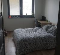 A bedroom in a family house with a bed, a desk, and a wooden decor floor.