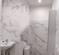 A bathroom in a studio apartment with ceramic tiles and a wooden decor floor.