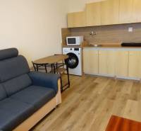 Living room in a studio apartment with a sofa, kitchenette, and wooden decor flooring.