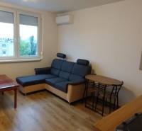 Living room in a studio apartment with wood-patterned flooring, a sofa, and a table.