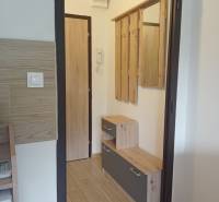 The entrance hall in the studio apartment with a wood-patterned floor and a coat rack wall.