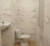 A studio apartment bathroom with a toilet, sink, and floor with a wood decor.