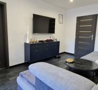 Living room in a two-room apartment with a dark floor and a sofa.