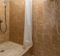 A shower corner with brown tiles in a studio apartment.