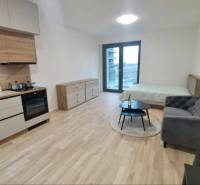 Kitchen unit, bed, sofa, and floor with wooden decor in a studio apartment.