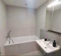 Bathroom with a bathtub and a sink in a studio apartment.