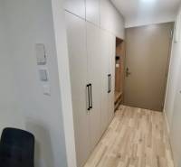 A hallway in a one-room apartment with a white wardrobe and a wooden decor floor.