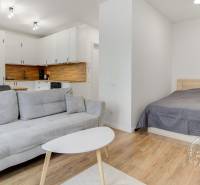 Living area of a studio apartment with a kitchen, sofa, and wooden decor flooring.