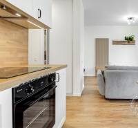 Kitchen area with a cooktop, floor with wood decor, and a sofa in a studio apartment.