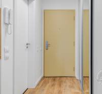 A hallway with a wood-decor floor in a one-room apartment, light wall and door.