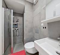 Bathroom with a shower and a sink in a studio apartment.
