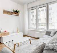 Living room of a one-bedroom apartment with a sofa, wooden-patterned flooring, and large windows.