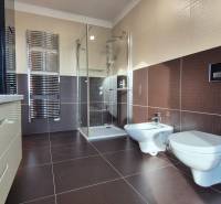 A bathroom in a family house with a modern shower, bidet, and ladder radiator.