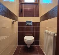 A toilet in a family house with brown and beige tiles and a window.