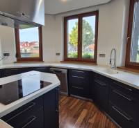 A modernly furnished kitchen in a family house with white walls, black cabinets, and a wood-patterned floor.
