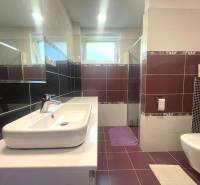 A bathroom in a family house with a modern sink and toilet, ceramic tiles in dark colors.