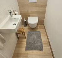 A toilet in a 3-room apartment with a wooden decor floor and a wall-mounted toilet.