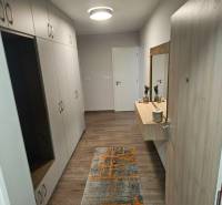 Entrance hallway in a 3-room apartment with storage space and flooring with a wood decor.