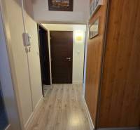 Entrance hallway in a 3-room apartment with walls featuring a wooden decor and a floor with a wooden decor.