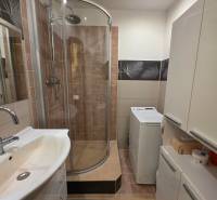 A bathroom in a 3-room apartment with a corner shower, sink, and washing machine.
