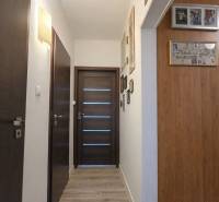 A hallway in a 3-room apartment with a wooden decor floor and dark doors.
