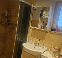 A bathroom in a family house with tiles, a shower corner, and toiletries on the shelves.