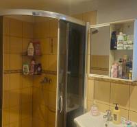 Bathroom with corner shower and mirrored cabinet, Family house.