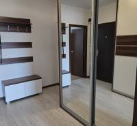 Entrance hall with a mirrored wardrobe and a floor with a wooden decor in a 3-room apartment.