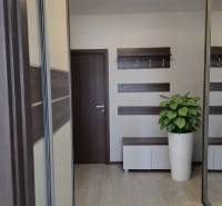 A hallway with a closet, hangers, a mirror, and a floor with a wooden decor in a 3-room apartment.