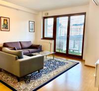 Living room with a sofa, an armchair, a carpet, and a large window in a 2-room apartment.