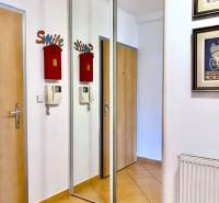 A hallway with tiles, a built-in wardrobe, and a mailbox in a 2-room apartment.