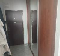 A hallway with tiles and a large mirror in a studio apartment.