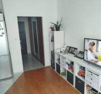 A studio apartment with wood-patterned flooring, a television, and storage spaces.