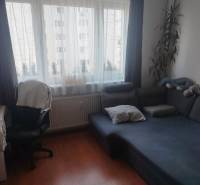 Studio apartment with a sofa, a desk, and a wooden floor decor.