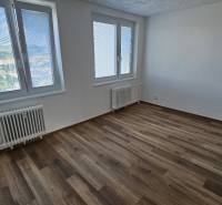 A spacious room in a 3-room apartment with wood-patterned flooring and large windows.