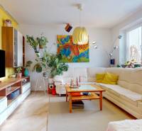 Living room in a 4-room apartment with plants, a sofa, and art paintings.