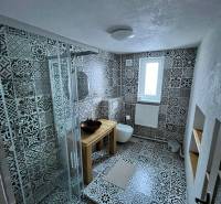 A bathroom in a family house with ornamental tiles, a shower corner, and a sink on a wooden table.