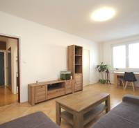 Living room in a two-room apartment with a wooden decor floor and simple furniture.
